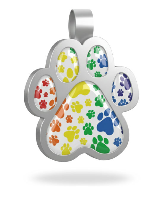 Large Paw Multi-Color Pet Tag SKU: 323 (Sold in Pack of 5)