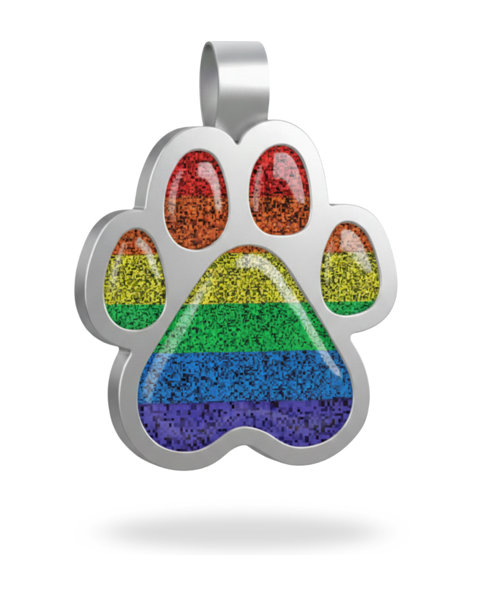 Large Paw Rainbow Pet Tag SKU: 313 (Sold in Pack of 5)