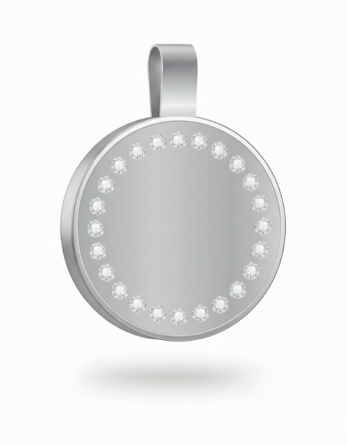 Large Circle Silver Pet Tag SKU: 151 (Sold in Pack of 5)